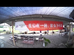 Atividades em equipe