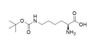 H-Lys ((Boc) -OH CAS n.o 2418-95-3 Puro branco ou quase branco 98% Pureza elevada Para uso farmacêutico