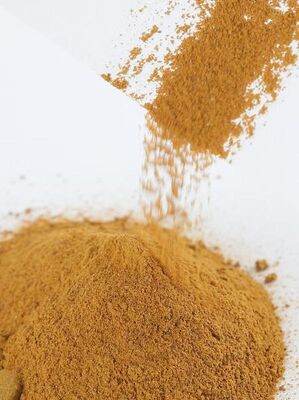 Polidi-hidroxi-indol ‰ melamina