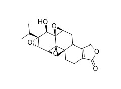 Pó branco dos intermediários C20H24O6 Tripterygium 38748-32-2 dos APIs de Triptolide