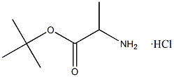 Cloridrato de Tert-Butil L-Alaninato CAS. 13404-22-3 Puro branco a quase branco 98% Pureza Ponto de fusão 168-175 °C