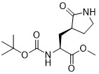 Metil (S)-2- (boc-amino)-3- (S)-2-oxo-3-pirrolidinil) propanoato 328086-60-8